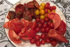 20 Degustacion tomates Maza